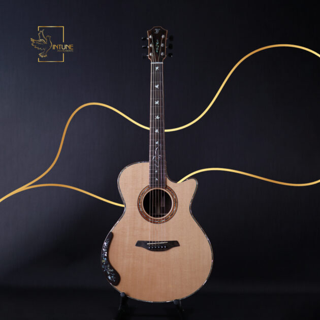 buy acoustic guitars online